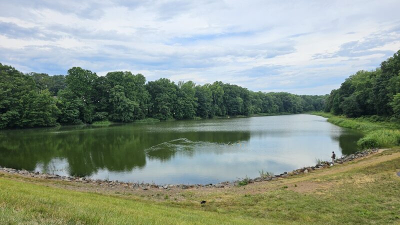 Lake Barton Park - Burke, VA