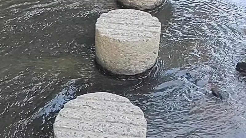 Pohick Stream Valley-Burke VRE Trail - Burke, VA