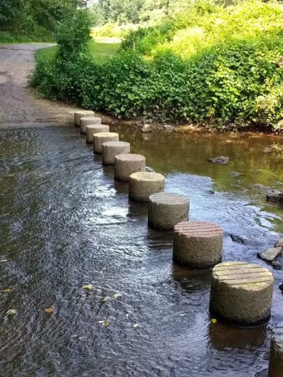 Pohick Stream Valley-Burke VRE Trail - Burke, VA