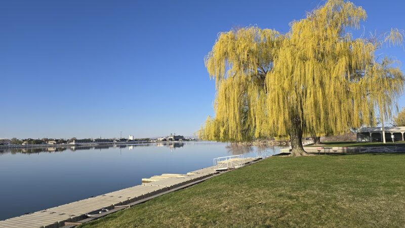 Lex Kunau Park - Burley, ID