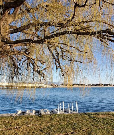 Lex Kunau Park - Burley, ID