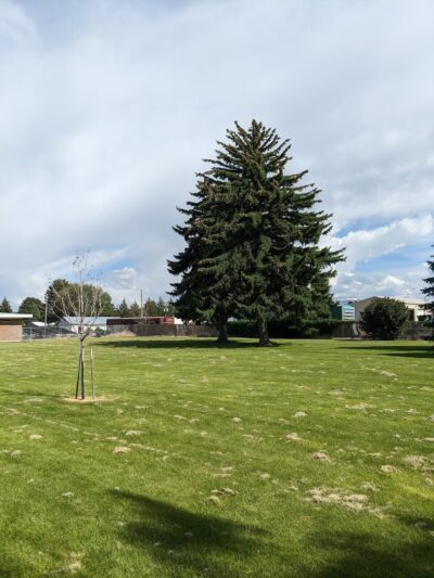 Salmon Park - Burley, ID