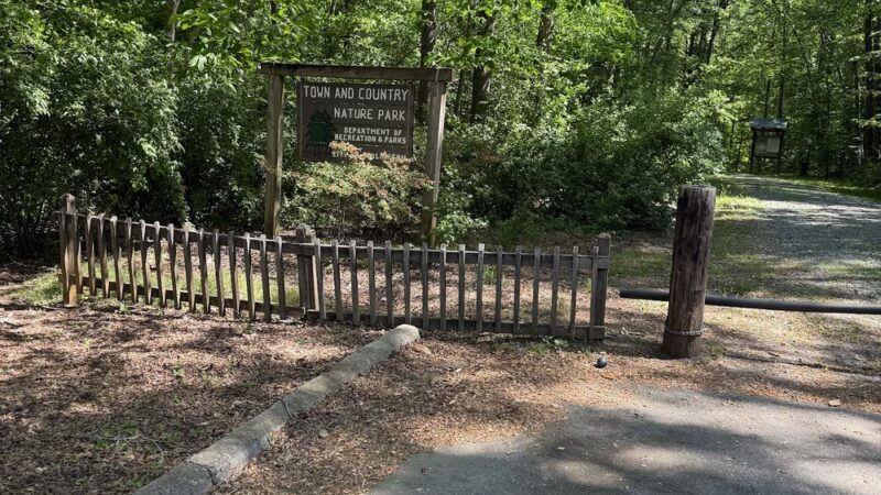 Town and Country Nature Park - Burlington, NC