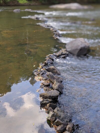 Town and Country Nature Park - Burlington, NC