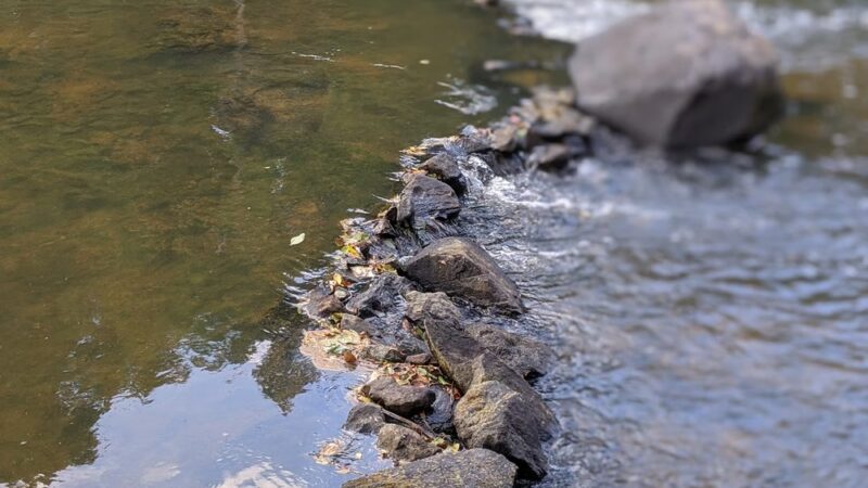 Town and Country Nature Park - Burlington, NC