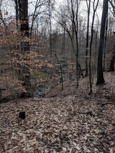 Town and Country Nature Park - Burlington, NC