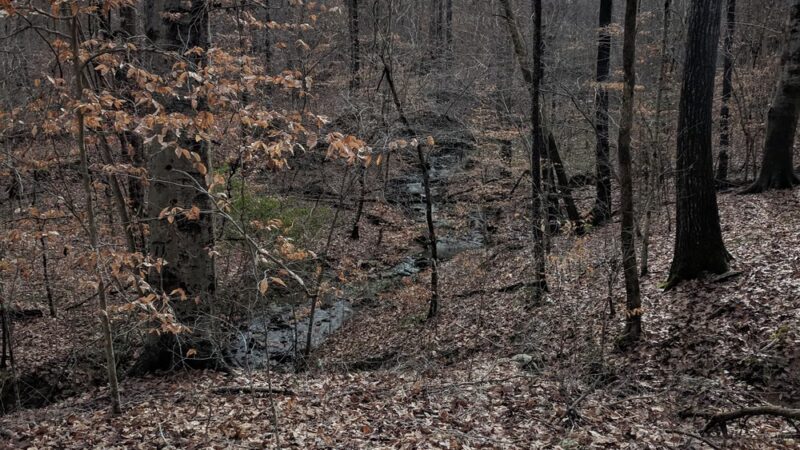 Town and Country Nature Park - Burlington, NC