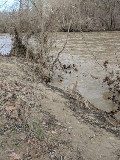 Town and Country Nature Park - Burlington, NC