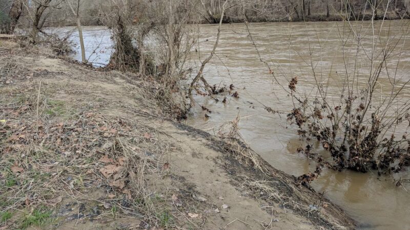 Town and Country Nature Park - Burlington, NC