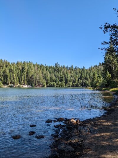 Lake Britton Picnic Area - Burney, CA