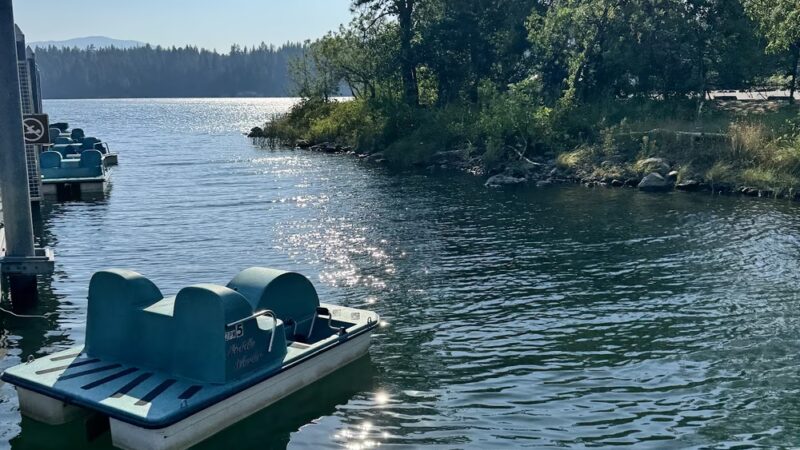 Lake Britton Picnic Area - Burney, CA