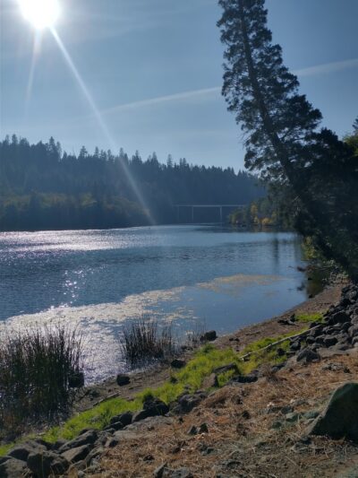 Dusty Campground - Burney, CA