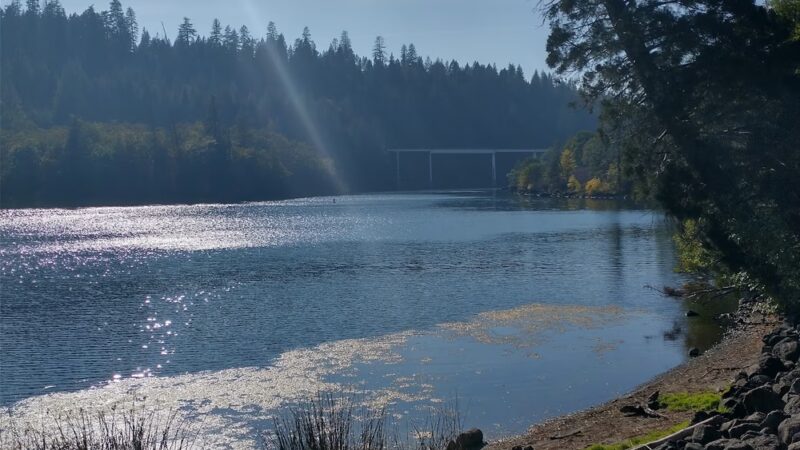 Dusty Campground - Burney, CA