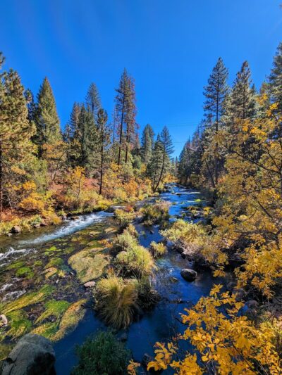 McArthur-Burney Falls Memorial State Park - Burney, CA