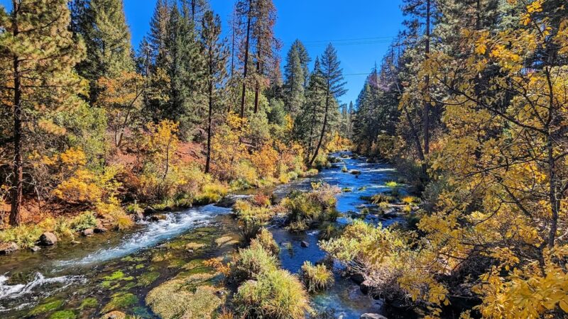 McArthur-Burney Falls Memorial State Park - Burney, CA