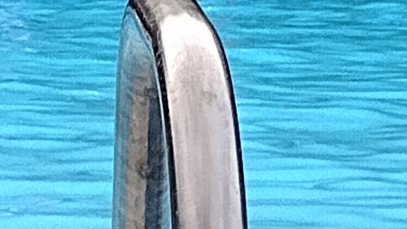 Burnham Pool Association - Burnham, PA