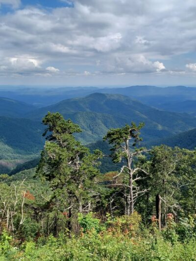 Old Mitchell Trailhead - Burnsville, NC
