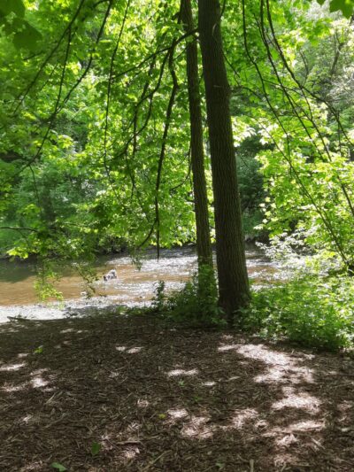 Butler park - Butler, WI