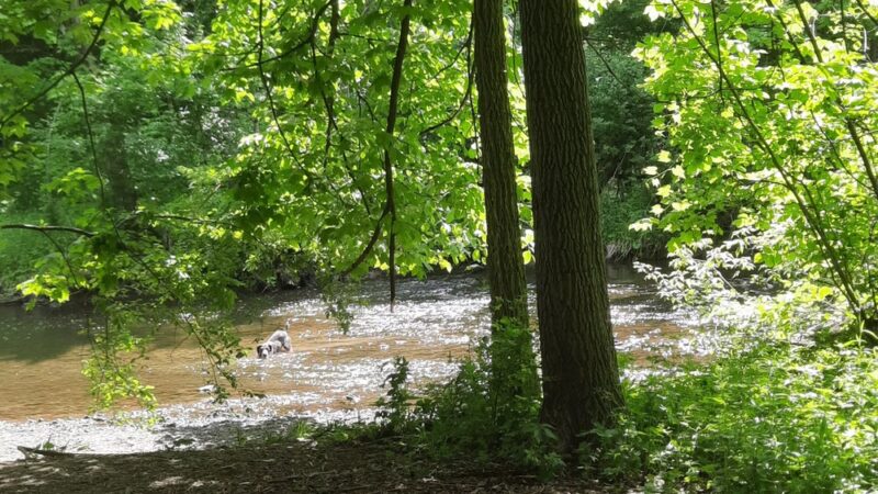 Butler park - Butler, WI