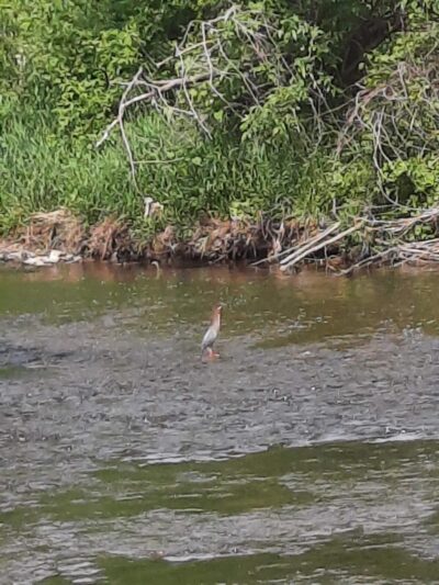 Butler park - Butler, WI