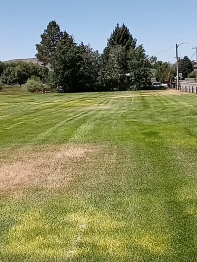 C Street Park - Butte, MT