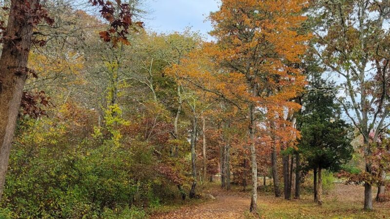 Canal Crossways Trail and Inclusive playground parking - Buzzards Bay, MA