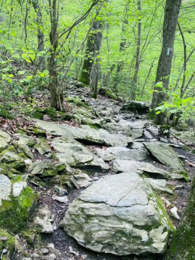 Cabin John Local Park - Cabin John, MD