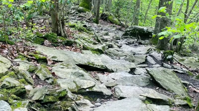 Cabin John Local Park - Cabin John, MD