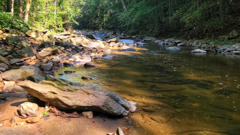 Cabin John Local Park - Cabin John, MD