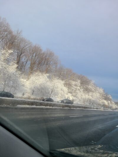 Seven Locks Local Park - Cabin John, MD