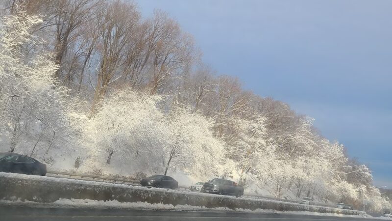 Seven Locks Local Park - Cabin John, MD