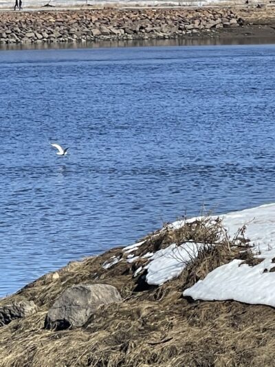 Calais Waterfront Walkway - Calais, ME
