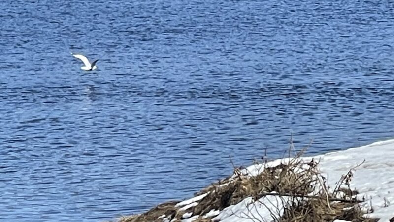 Calais Waterfront Walkway - Calais, ME