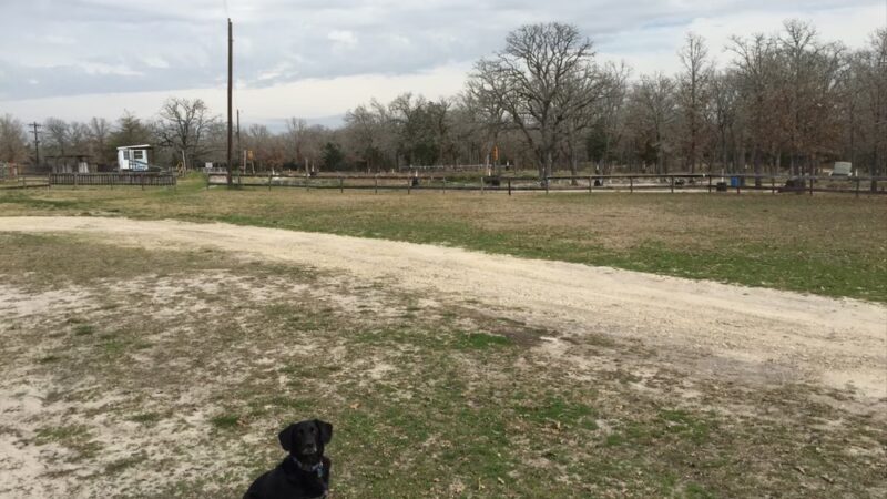 Bluebonnet MX Park - Caldwell, TX