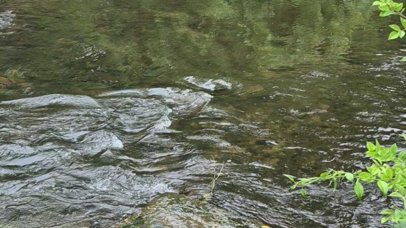 Columbia Trail North - Califon, NJ