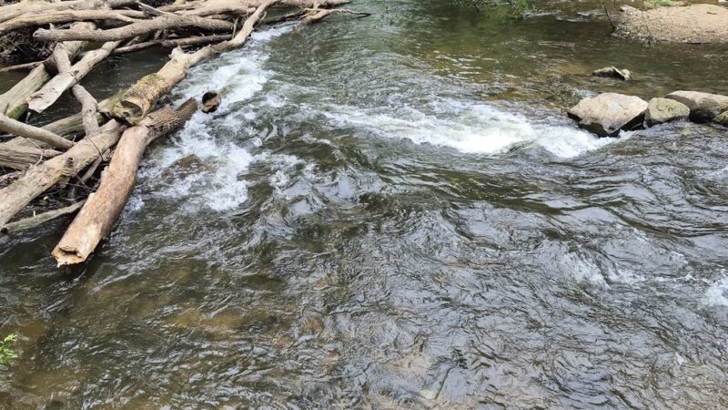 Columbia Trail North - Califon, NJ