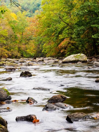 Ken Lockwood Gorge Wildlife Management Area - Califon, NJ