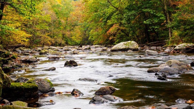 Ken Lockwood Gorge Wildlife Management Area - Califon, NJ