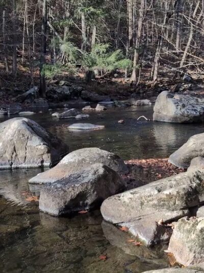 Ken Lockwood Gorge Wildlife Management Area - Califon, NJ