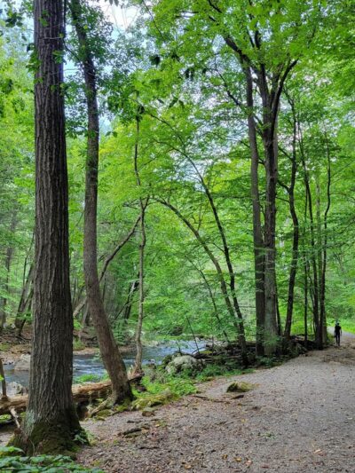 Ken Lockwood Gorge Wildlife Management Area - Califon, NJ