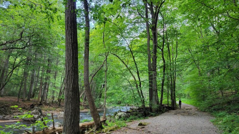 Ken Lockwood Gorge Wildlife Management Area - Califon, NJ