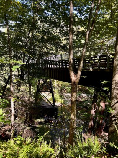 Ken Lockwood Gorge Wildlife Management Area - Califon, NJ