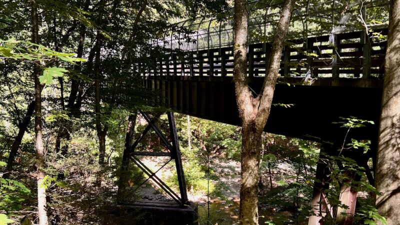 Ken Lockwood Gorge Wildlife Management Area - Califon, NJ