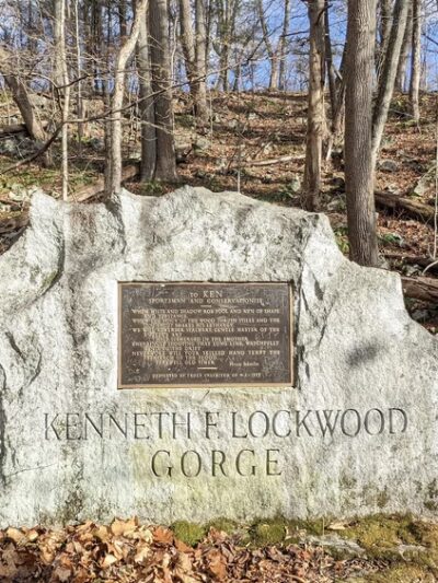 Ken Lockwood Gorge Wildlife Management Area - Califon, NJ
