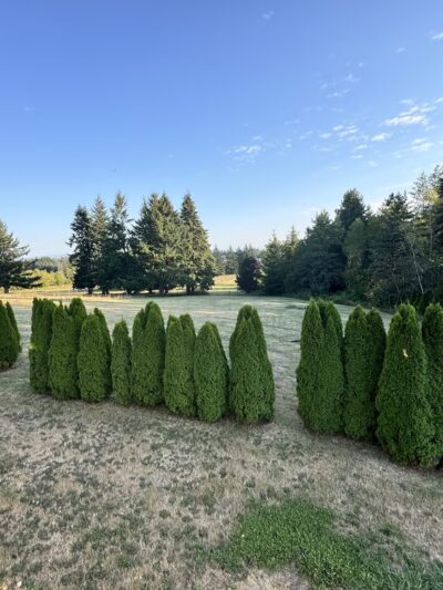 Montana’s Sniffspot - Camas, WA