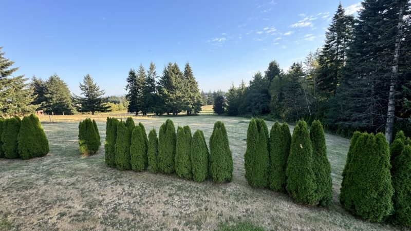 Montana’s Sniffspot - Camas, WA
