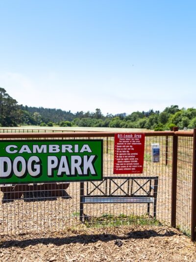 Cambria Dog Park - Cambria, CA