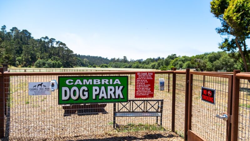 Cambria Dog Park - Cambria, CA