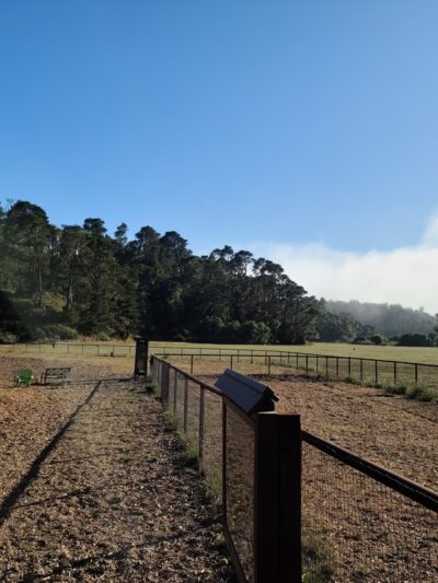 Cambria Dog Park - Cambria, CA