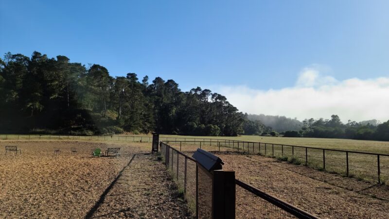 Cambria Dog Park - Cambria, CA